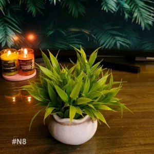 n8