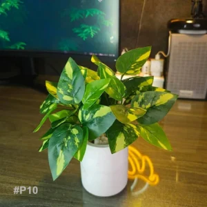 p10
