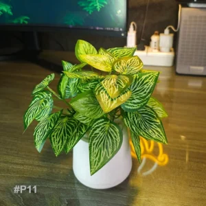 p11
