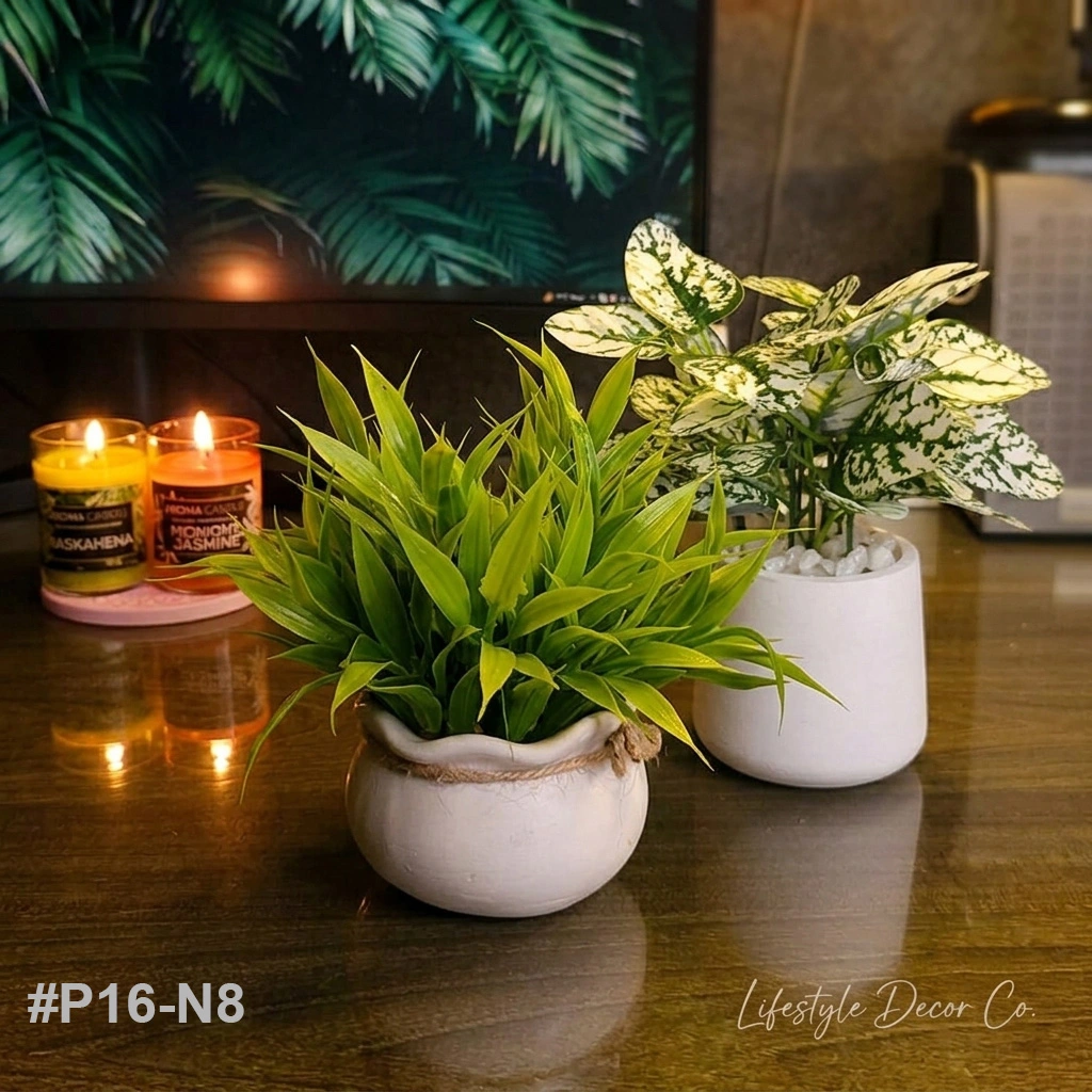 p16 n8 p16 n8